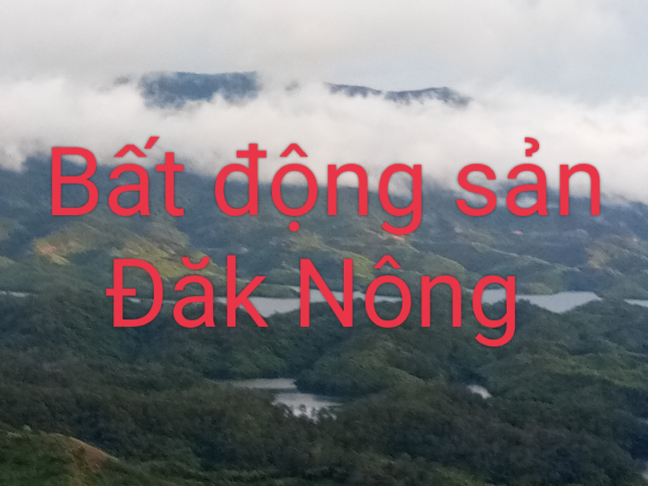 Cần bán 4,5 ha giá 1,5 tỷ