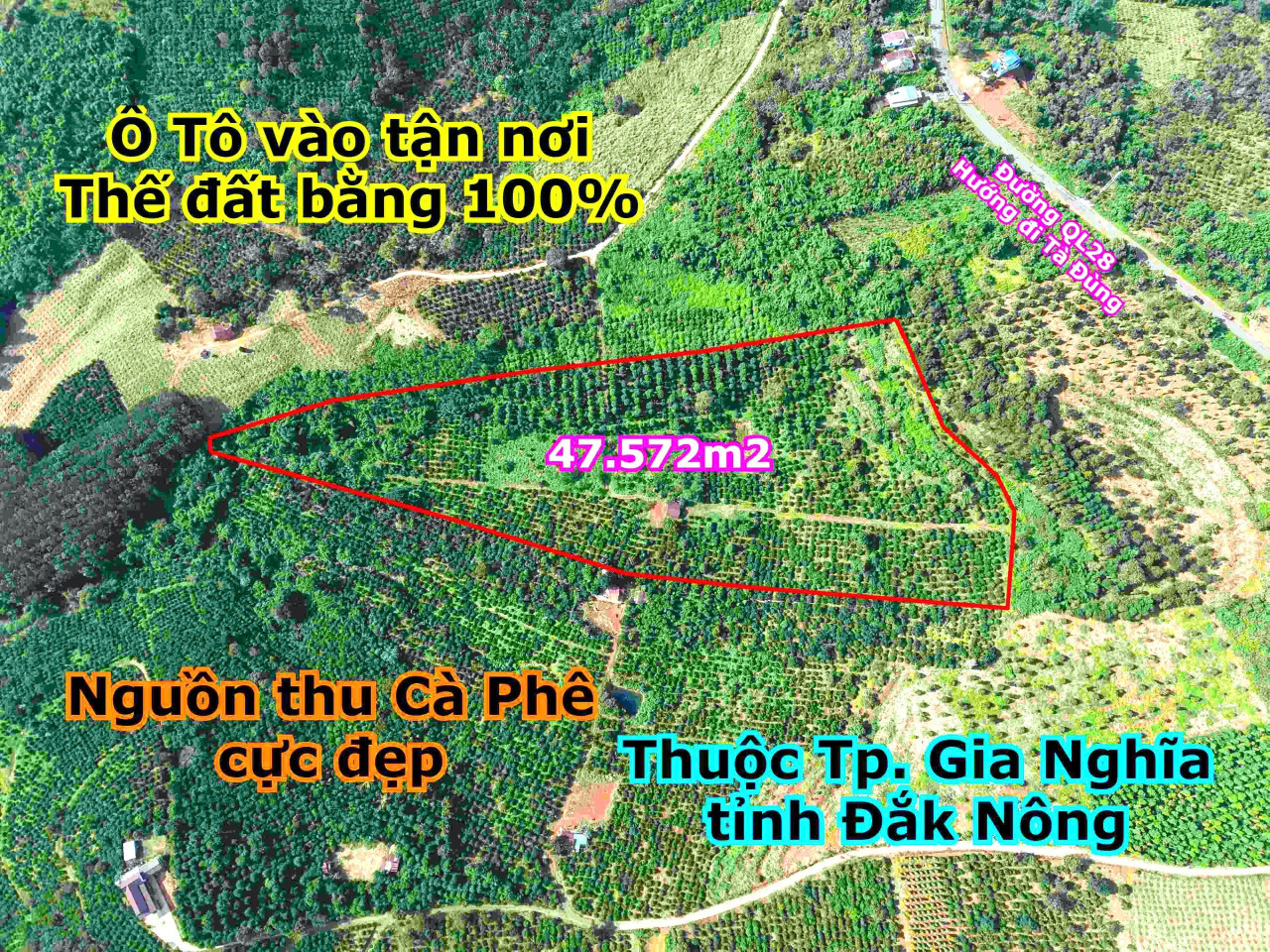 Bán đất 47500m² 5.5 tỷ tại Xã Đắk Nia Thị xã Gia Nghĩa