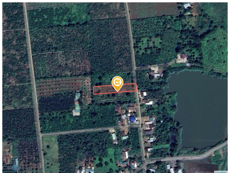 Bán đất 1293.1m² 300 triệu tại Xã Đắk Nuê Huyện Lắk