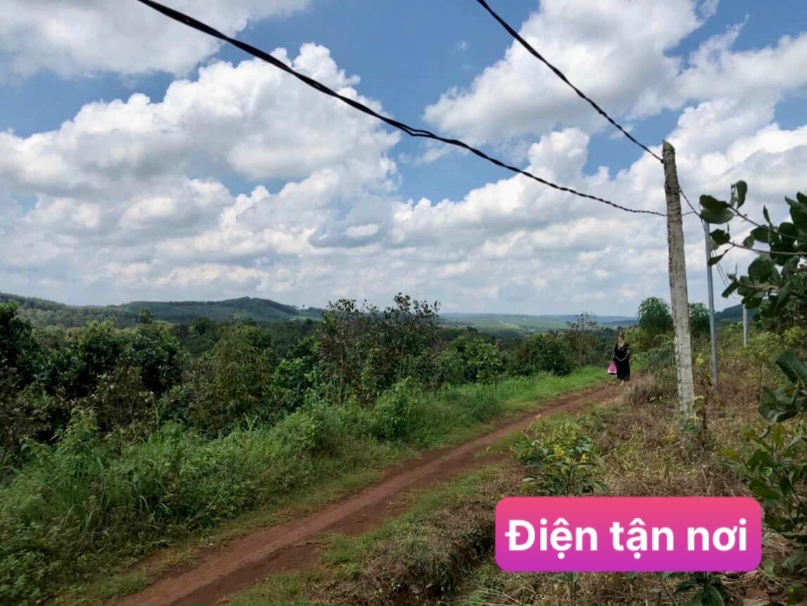 Đất SHR xã Đắk Ru cách Quốc Lộ 14 chỉ 5km, giá bán nhanh 320 Triệu/1065m2 ngang 17m