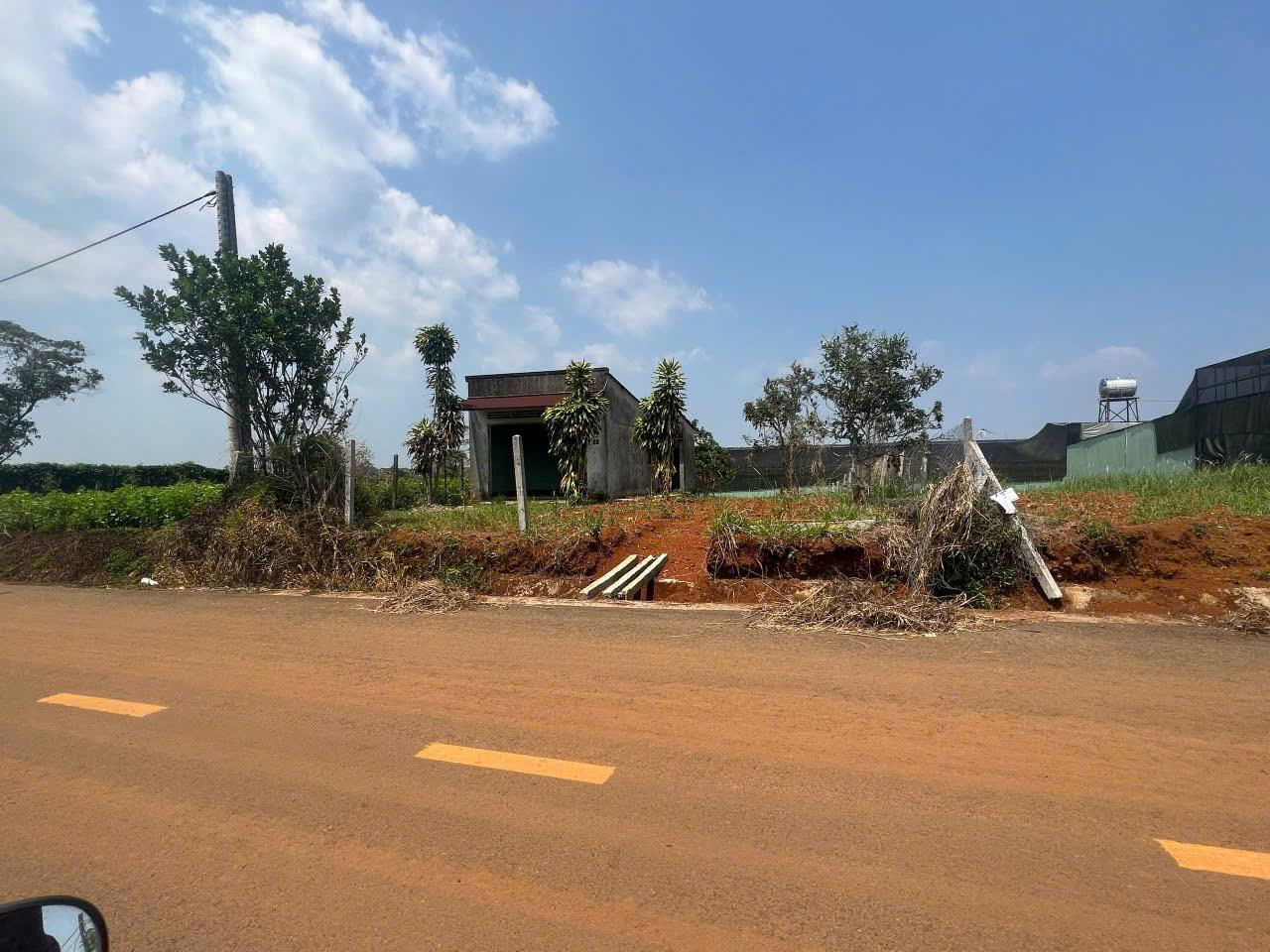 LÔ ĐẤT VỊ TRÍ ĐẸP -ĐẦU TƯ SINH LỜI - Cần Bán Nhanh Lô Đất Xã Đambri, TP Bảo Lộc, Lâm Đồng