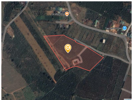 Bán đất 16500m² ngang 5m giá 18 tỷ tại Xã Đạm Bri Thành phố Bảo Lộc