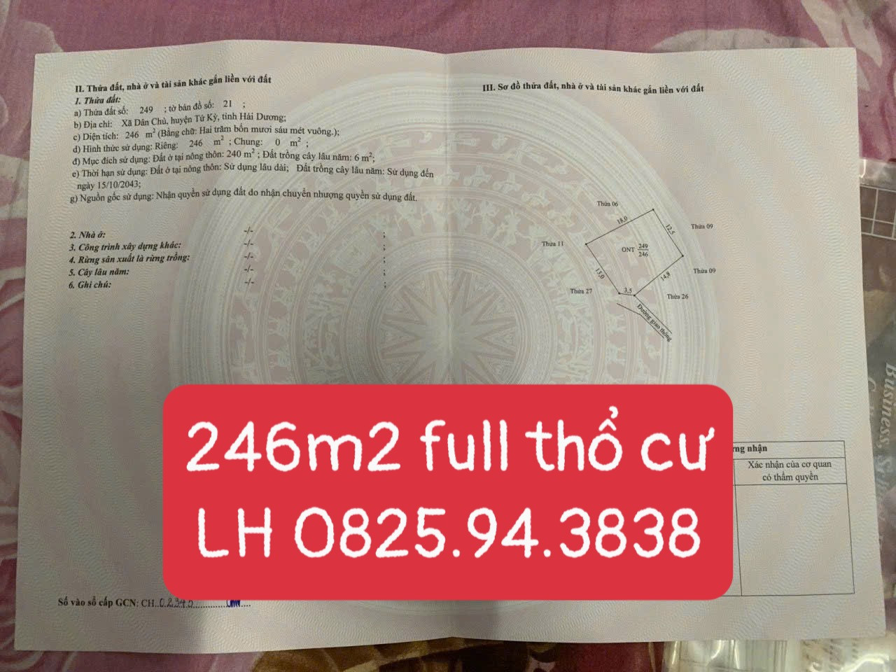 ĐẤT THỔ CƯ ĐỒNG BÌNH – GẦN TRỤC CHÍNH – 246M² – SỔ ĐỎ SẴN GIAO DỊCH