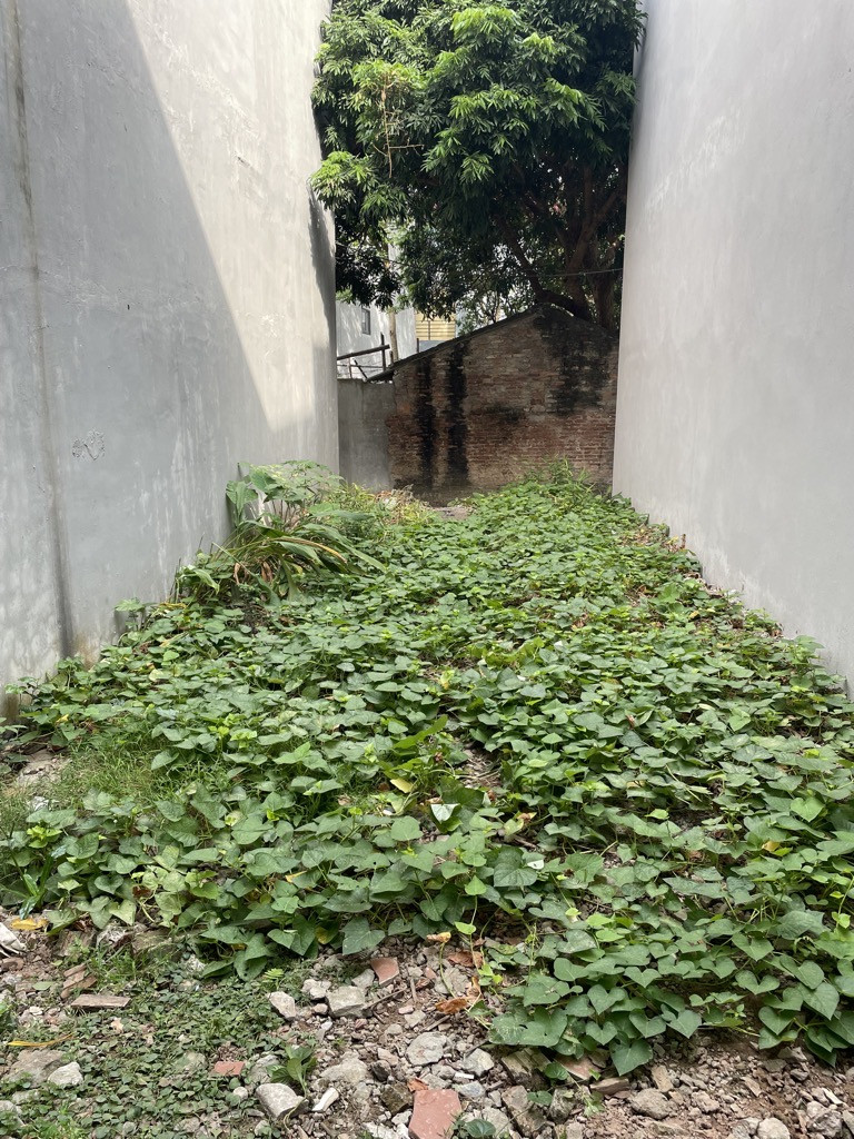 BÁN ĐẤT ĐẶNG XÁ 52M², Nhỉnh 4 tỷ. Ô TÔ TRÁNH XE MÁY, NGÕ THÔNG,  ĐẦU TƯ SINH LỜI CAO.