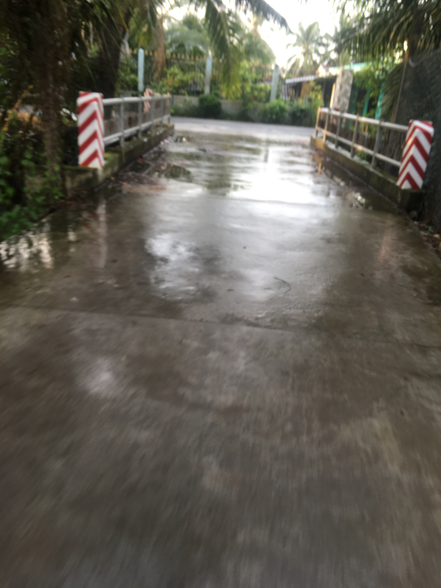 100m2 Long Hoà A,Đạo Thạnh,TP.Mỹ Tho,Tiền Giang.