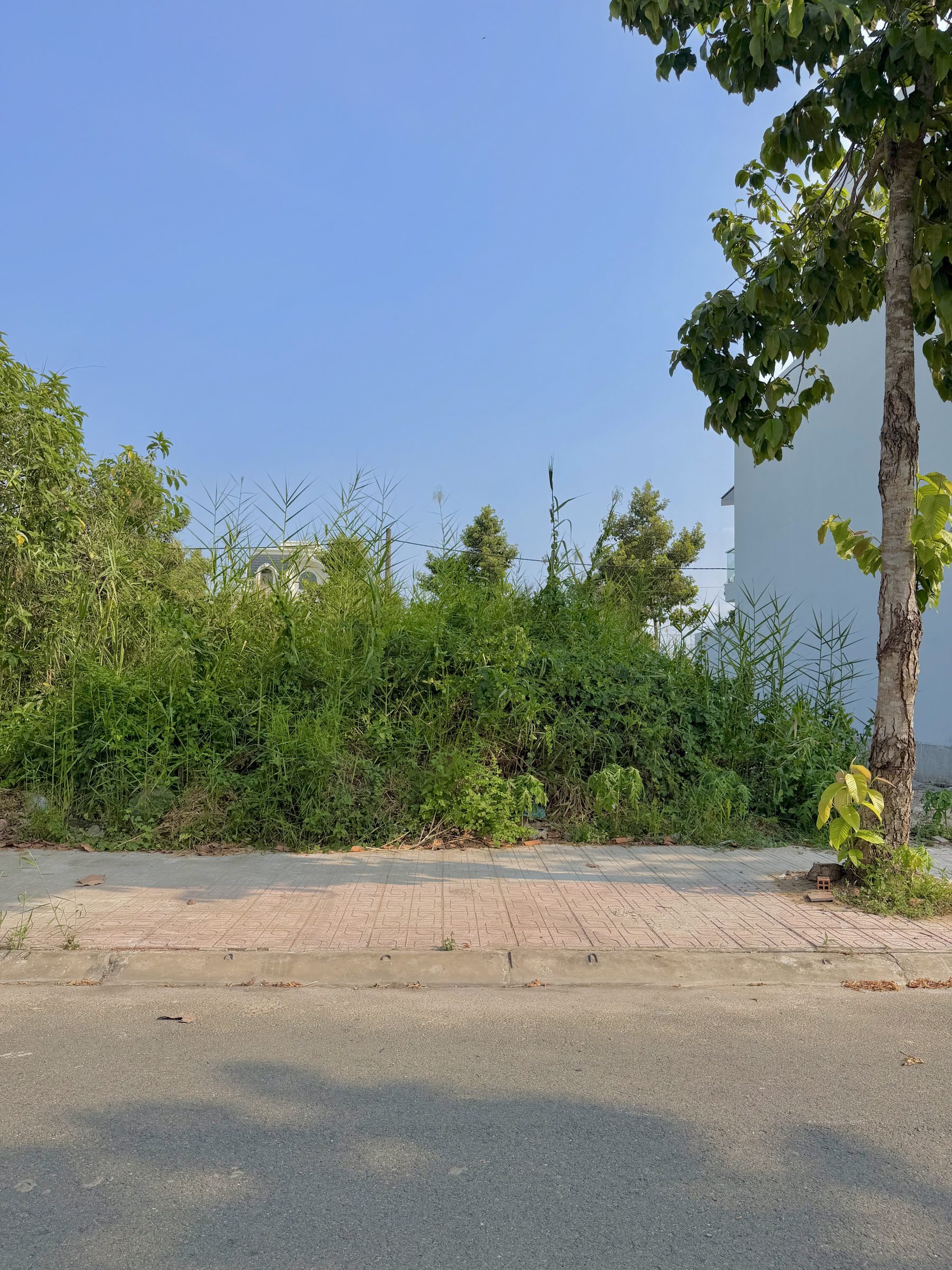 🏡 NỀN MẶT TIỀN D8 – TĐC LONG HÒA B, TRUNG TÂM ĐẠO THẠNH