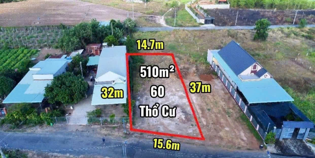 Bán đất 509,6m² ngang 15,6m giá 2.45 tỷ Xã Đất Đỏ
