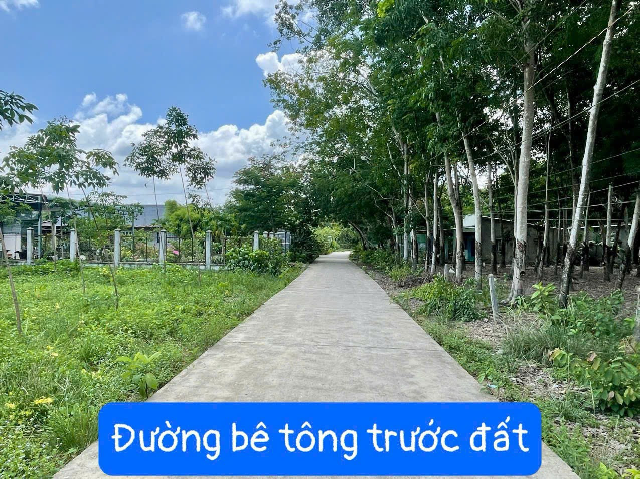 Bán đất 200m² ngang 5m giá 555 triệu Xã Dầu Tiếng