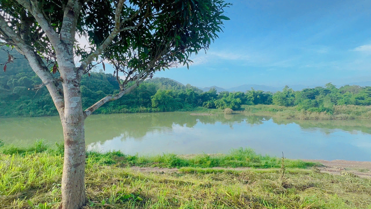 Bán đất Cây Hàng Năm Xã Diên Đồng Diên Khánh. Đất bám sông 195m.