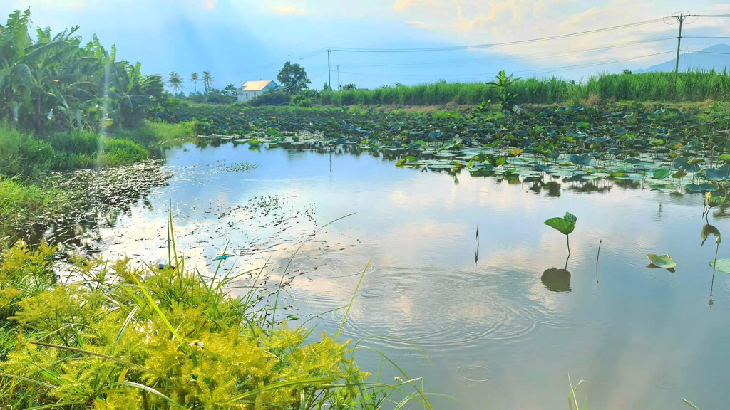 Bán Đất Diên Hoà Quy Hoạch thổ cư