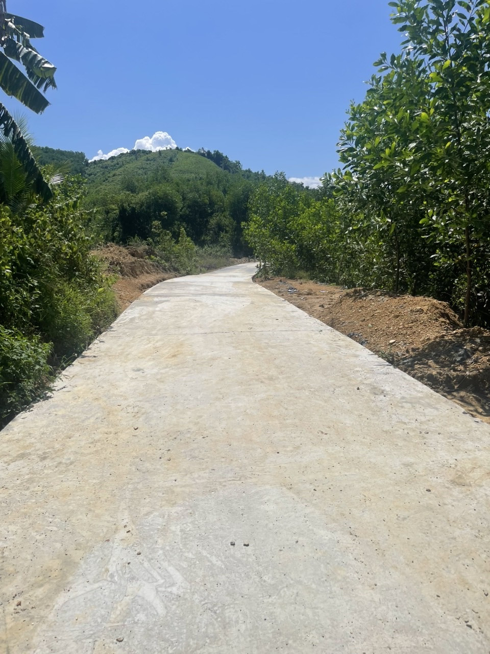 🟢 BÁN 3.685,6m² ĐẤT – DIÊN ĐỒNG – DIÊN KHÁNH – KHÁNH HÒA ngang 38,6m