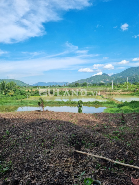 Bán đất vườn hơn 7 sào tại Diên Tân,Diên Khánh