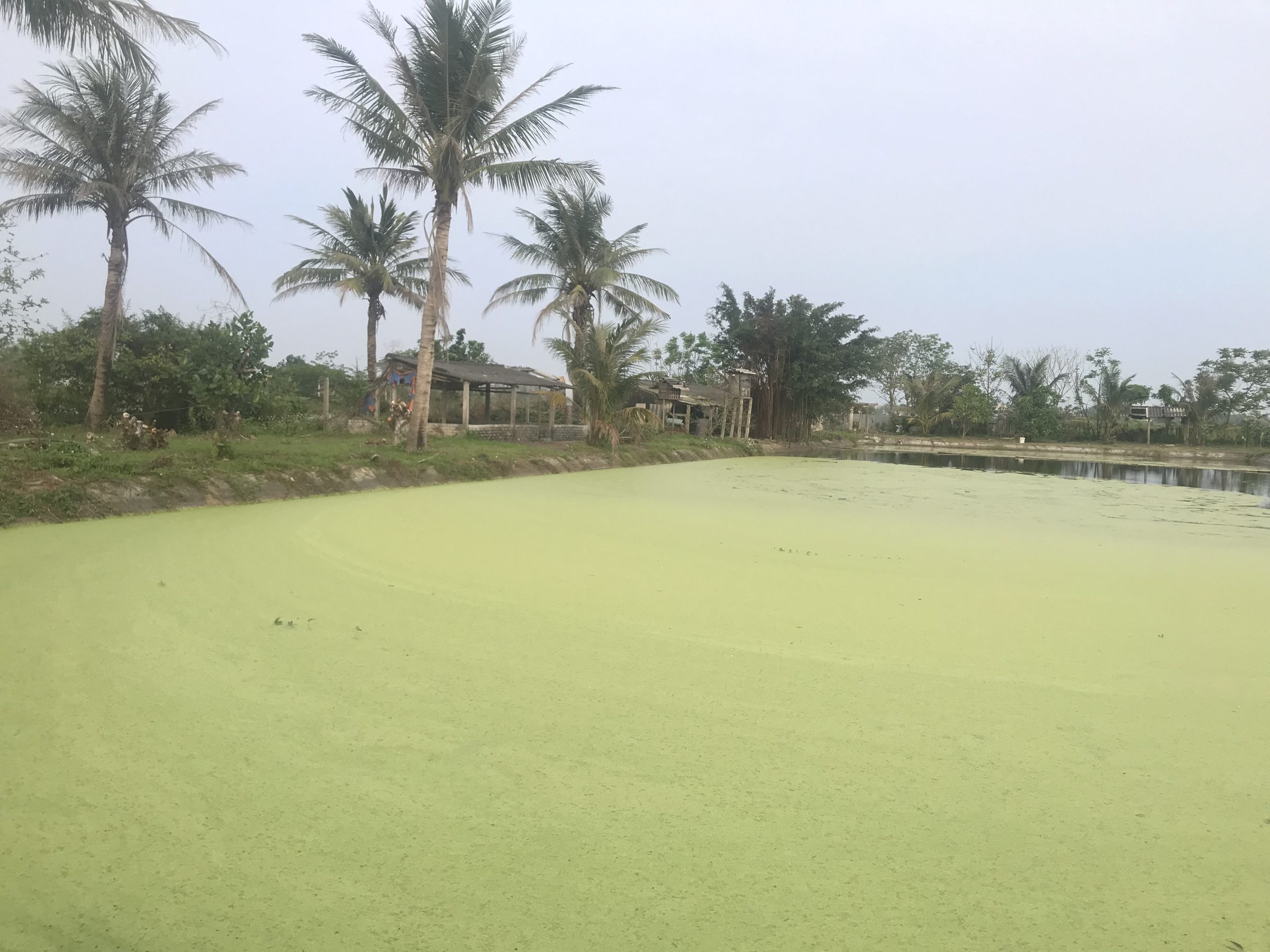Đất nông nghiệp