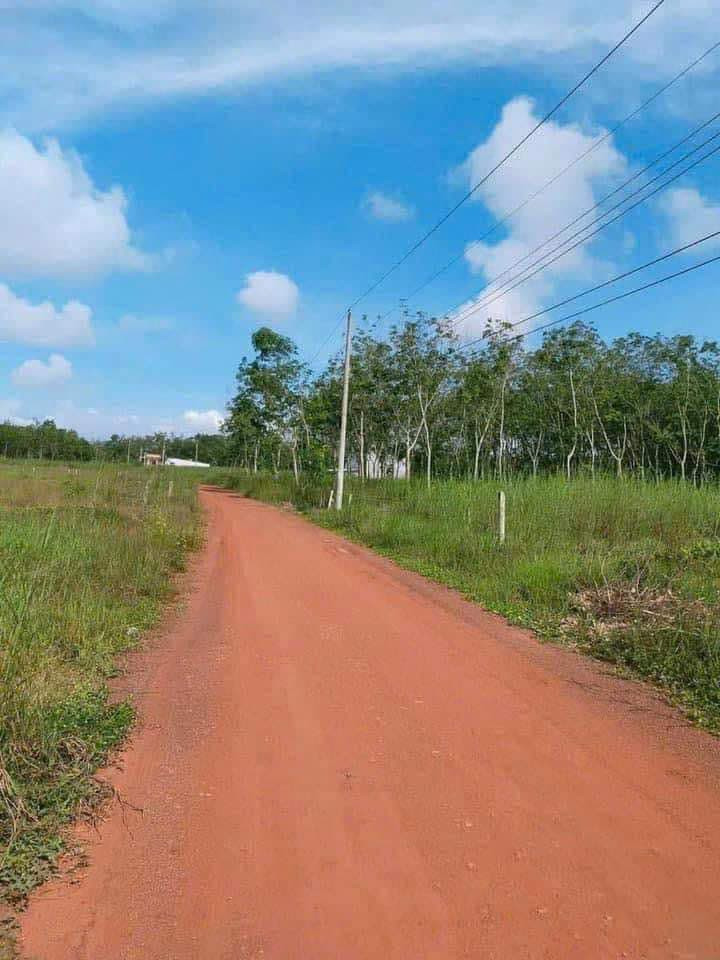Đất ngon