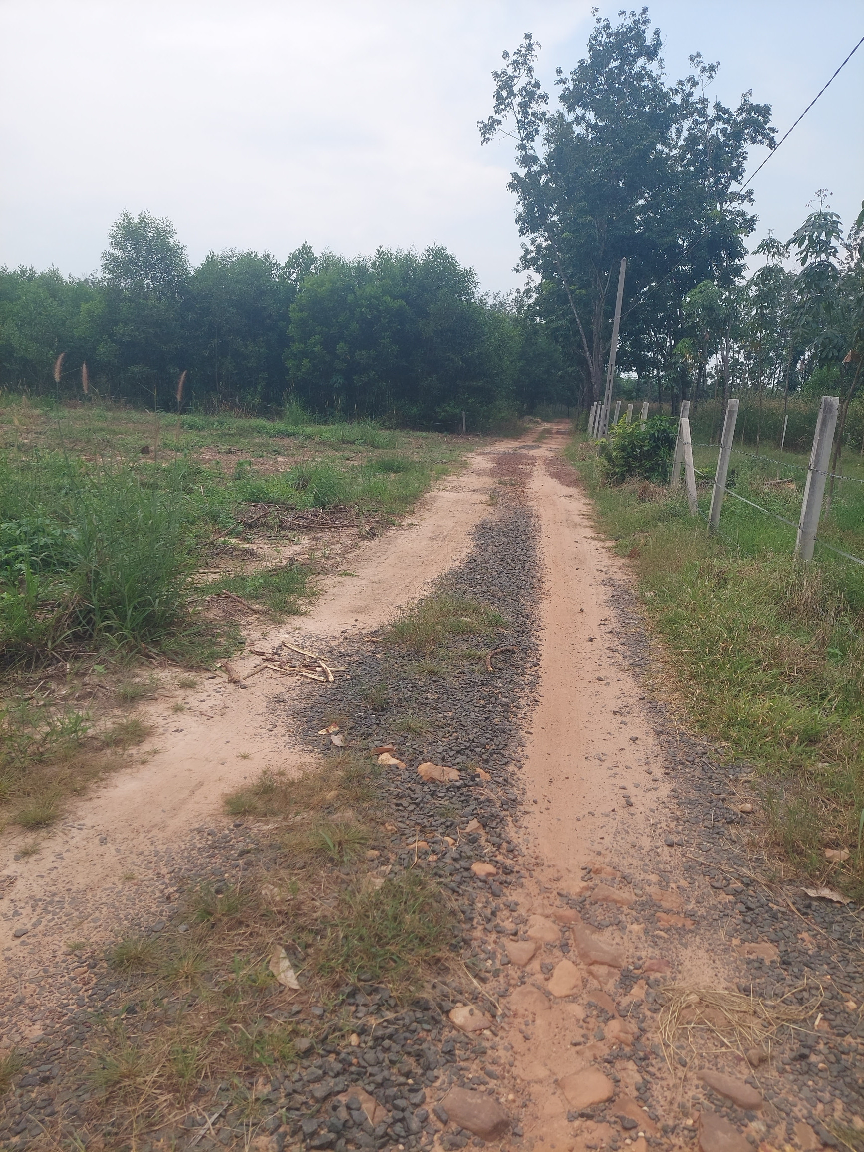 Bán đất định an gần hồ dầu tiếng duới chân núi cậu