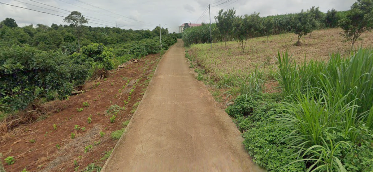 Đinh Lạc , 266m2 (80m2 thổ cư), 1ty465