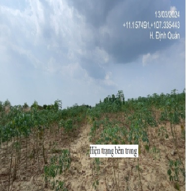 BÁN GẤP LÔ ĐẤT 55X269M PHÚ NGỌC, ĐỊNH QUÁN
