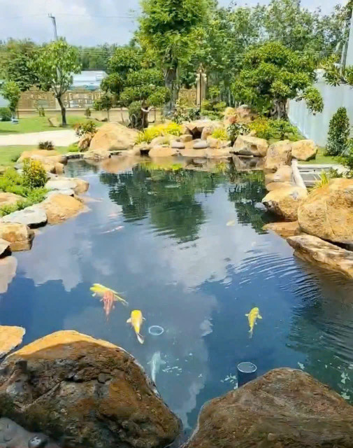 Bán nhà 2039,8m² ngang 28m giá 7.5 tỷ tại Xã Định Thành Huyện Dầu Tiếng 0815422197