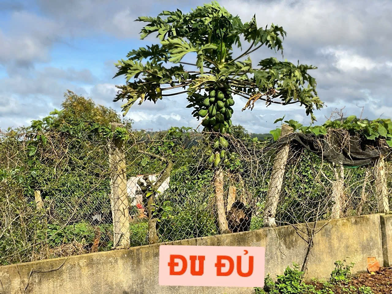 Bán đất 480m² giá 239 triệu Xã Dliê Ya
