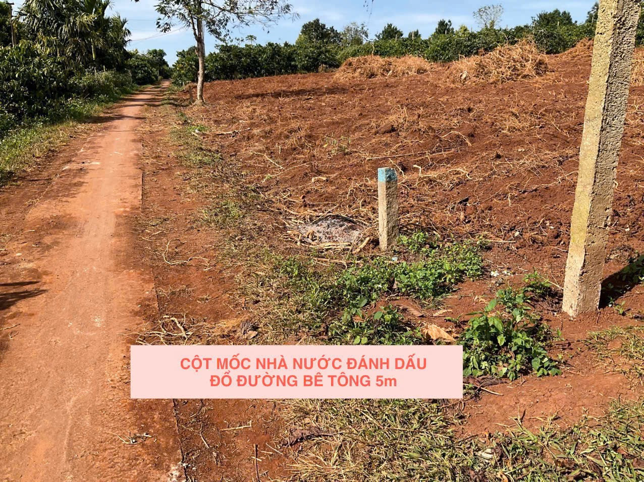 Bán đất 300m² giá 169 triệu tại Xã ĐLiê Ya Huyện Krông Năng