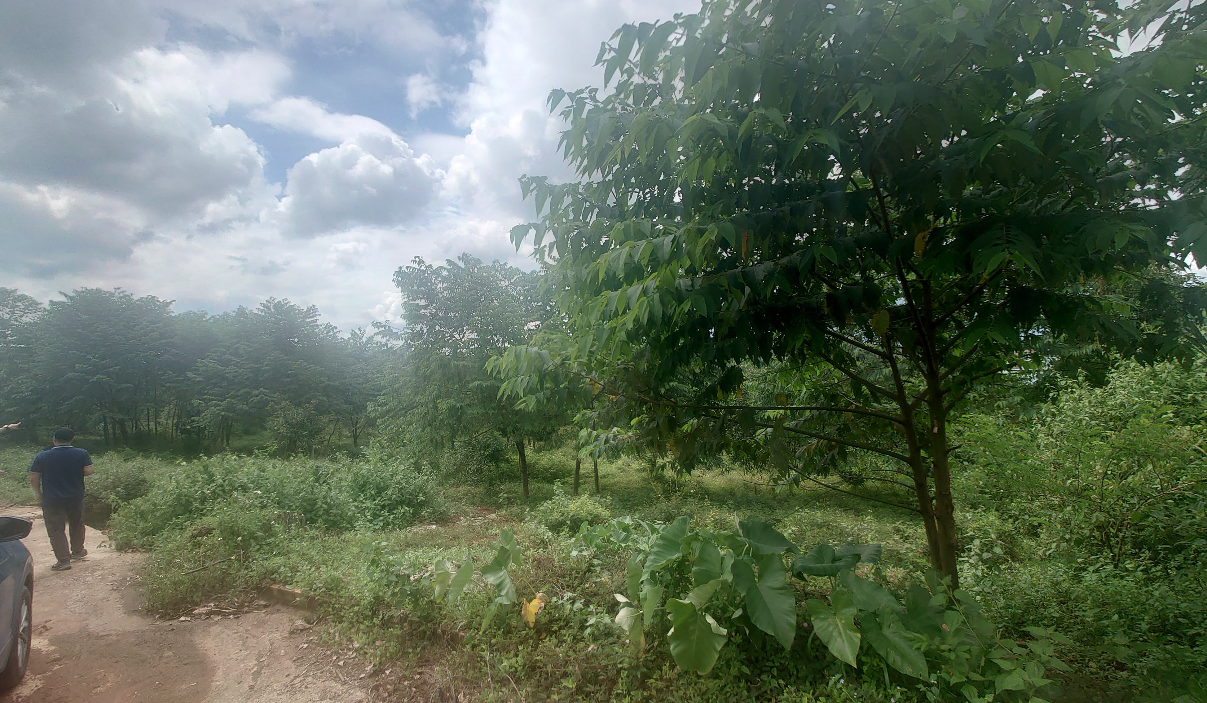 Bán đất tại Thôn 1, Đoàn Kết, Huyện Bù Đăng, 6,2 tỷ, 7584 m2