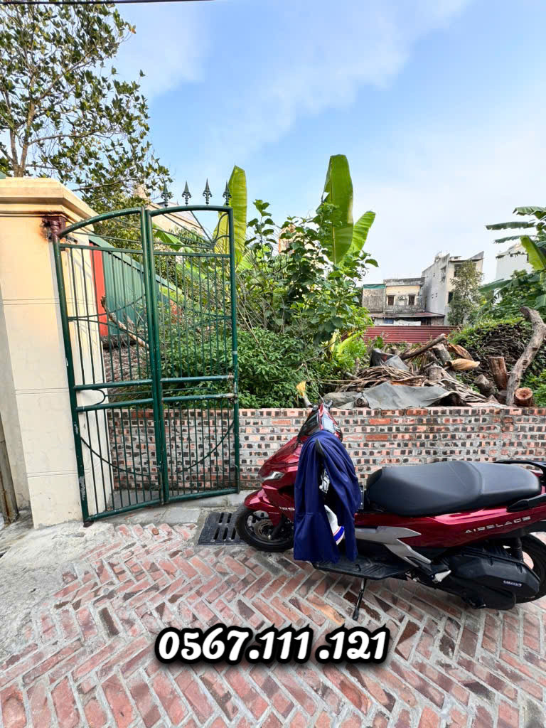🎯 🎯Đất đẹp Cổ Loa 52m2 – 🚘 Ô Tô vào đất - 5 phút qua Vin Cổ Loa