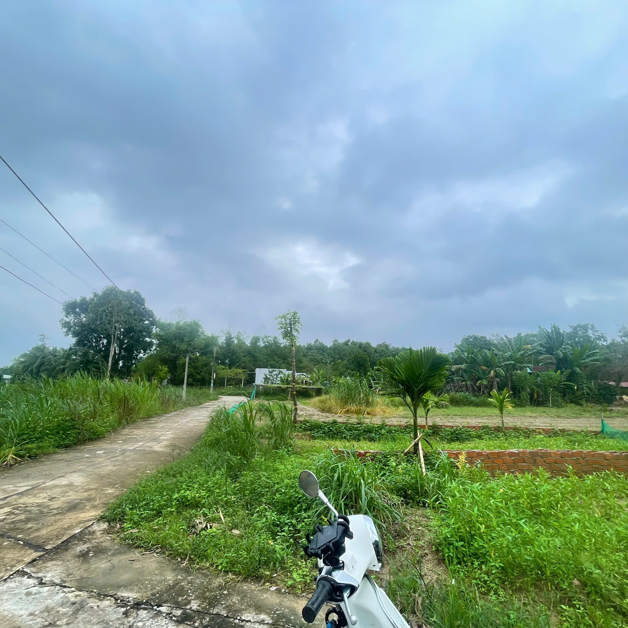 Bán đất 390tr, có ngay đất thổ cư ngang 6, 155m² tiện xây nhà vườn, Xã Đồng Dương, TP DN
