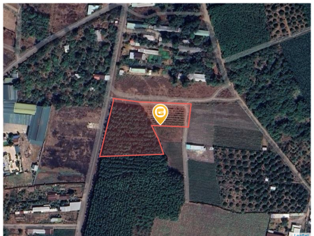 Bán đất 3700m² 7.7 tỷ tại Xã Đông Hoà Huyện Trảng Bom