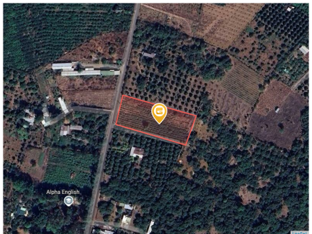 Bán đất 2022,5m² 4 tỷ tại Xã Đông Hoà Huyện Trảng Bom