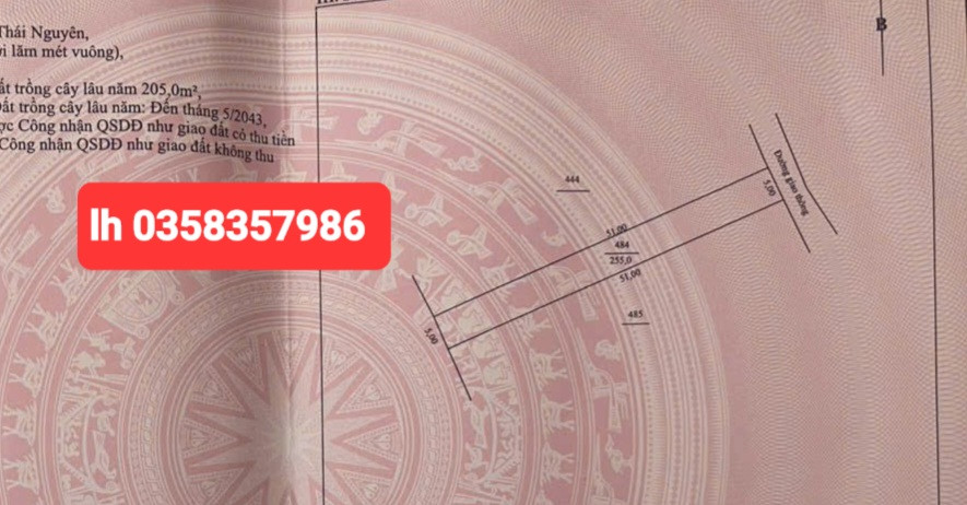 Bán đất 255m² ngang 5m giá 1.23 tỷ Xã Đồng Hỷ