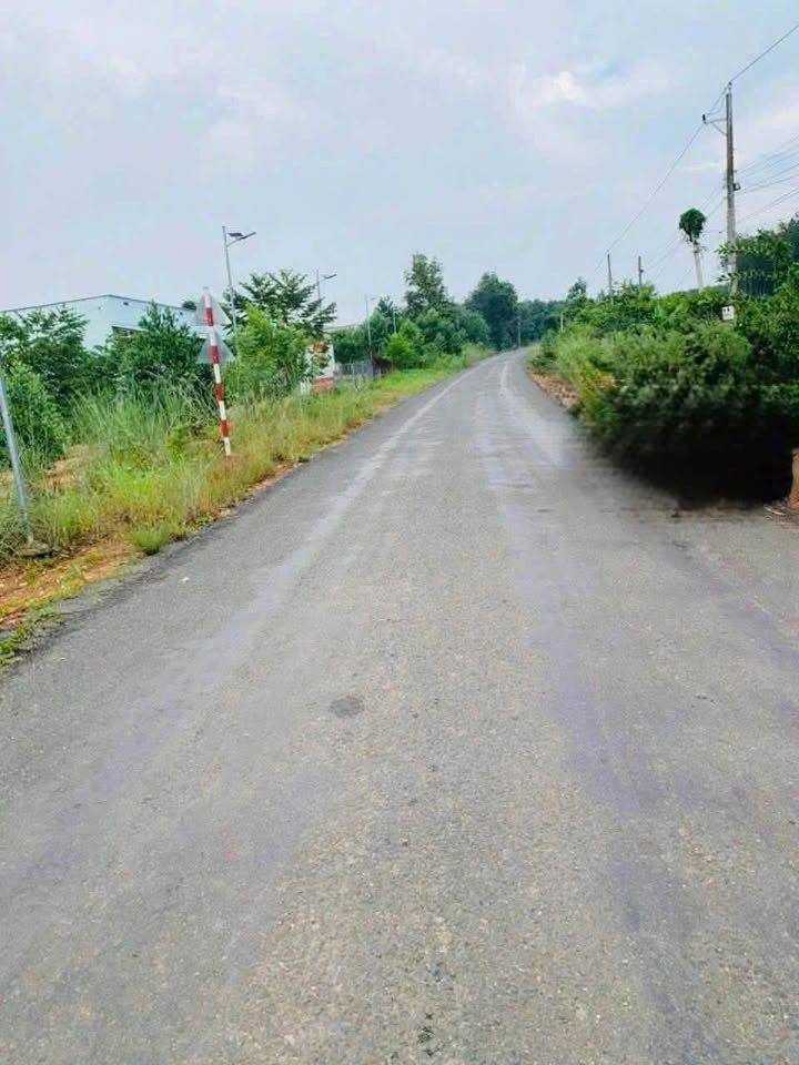 Bán đất ấp 6, xã Đồng Phú (Tân Lập cũ), 2675.8 m2