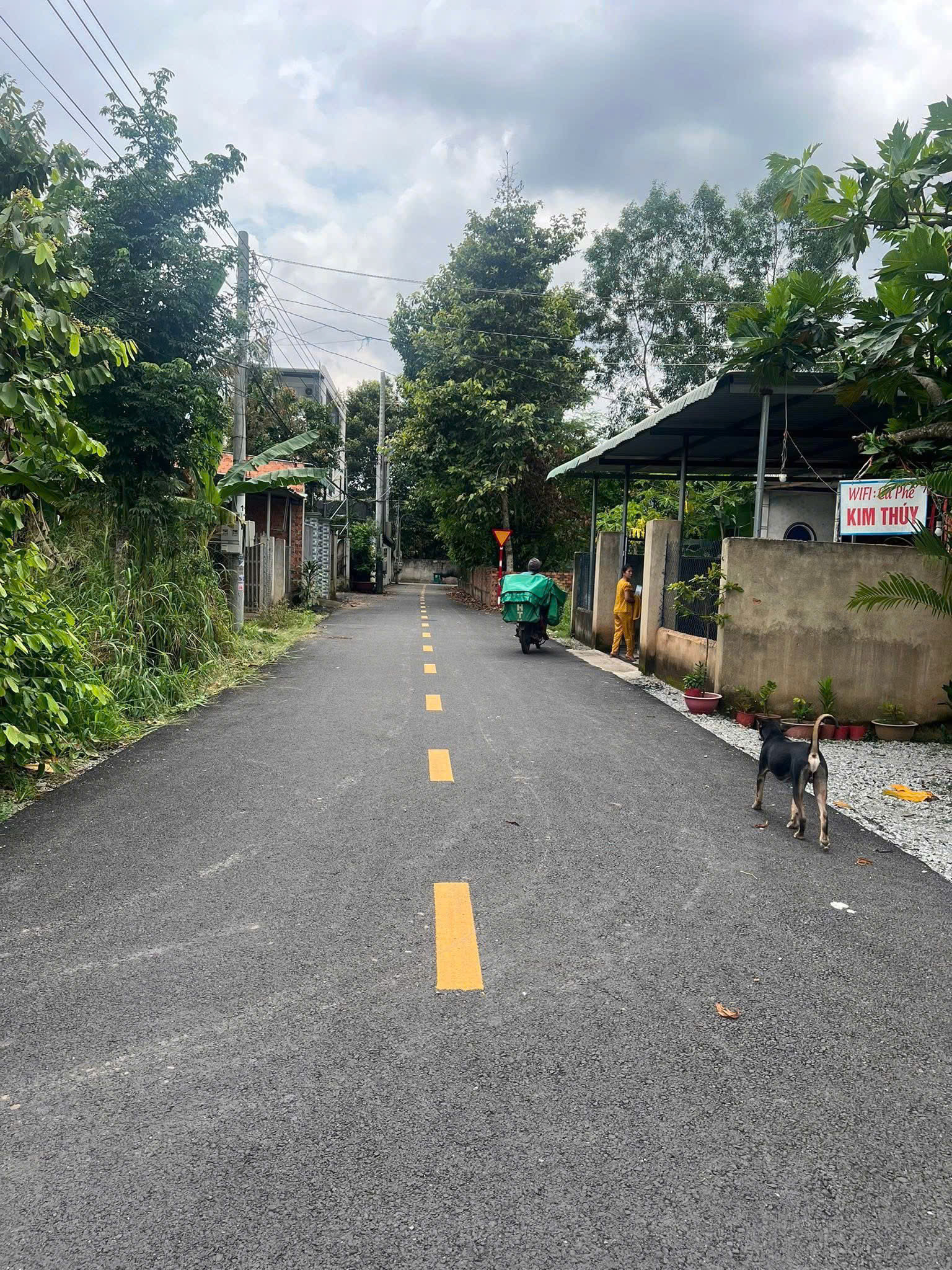 Bán Đất 200m² thổ cư 100m² giá 195 triệu tại Phường Đồng Phú Đồng Nai