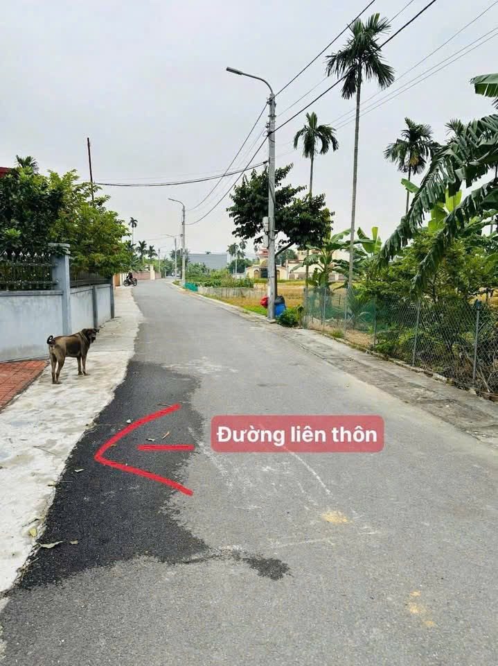 🎉🎉🎉CHỈ CÒN DUY NHẤT 1 LÔ GIÁ MỀM TẠI ĐÔNG SƠN NAY LÀ PHƯỜNG LƯU KIẾM.
L/h:076.231.9990 em Thúy 

🍀TDP 6 (Đông Sơn cũ) – phường Lưu Kiếm, Thuỷ Nguyên
 • Diện tích: 59,9m² (mặt tiền 5,14m)
 • Ngõ rộng 2 – 2,5m (xe máy tránh thoải mái)
 • Cách đường li