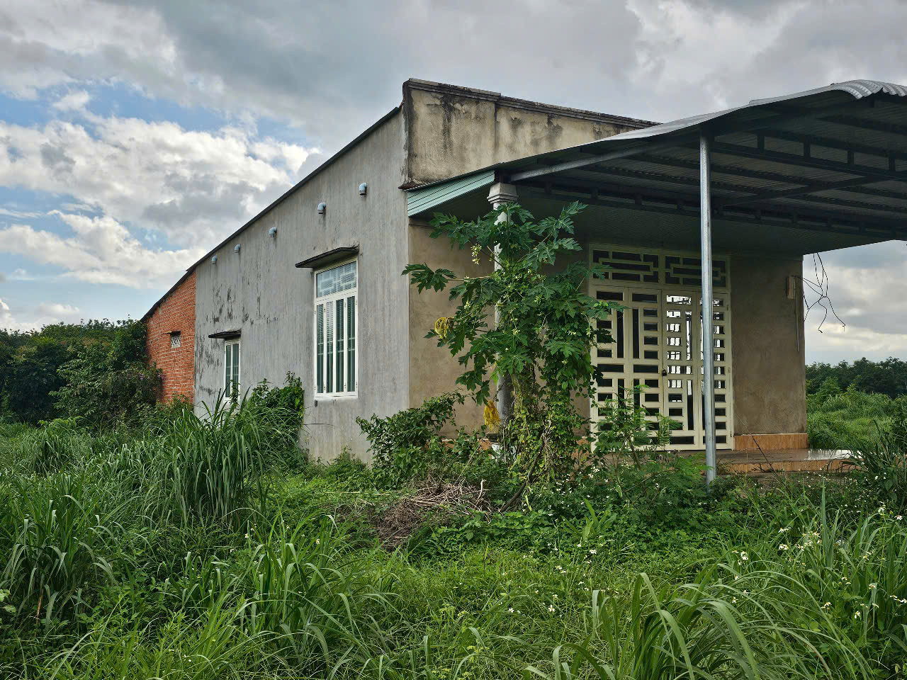 Bán đất 20103.5m² ngang 159m giá 9 tỷ Xã Đồng Tâm