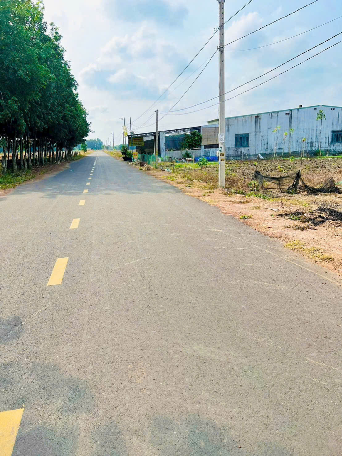 1.500m có sẵn 100 thổ cư