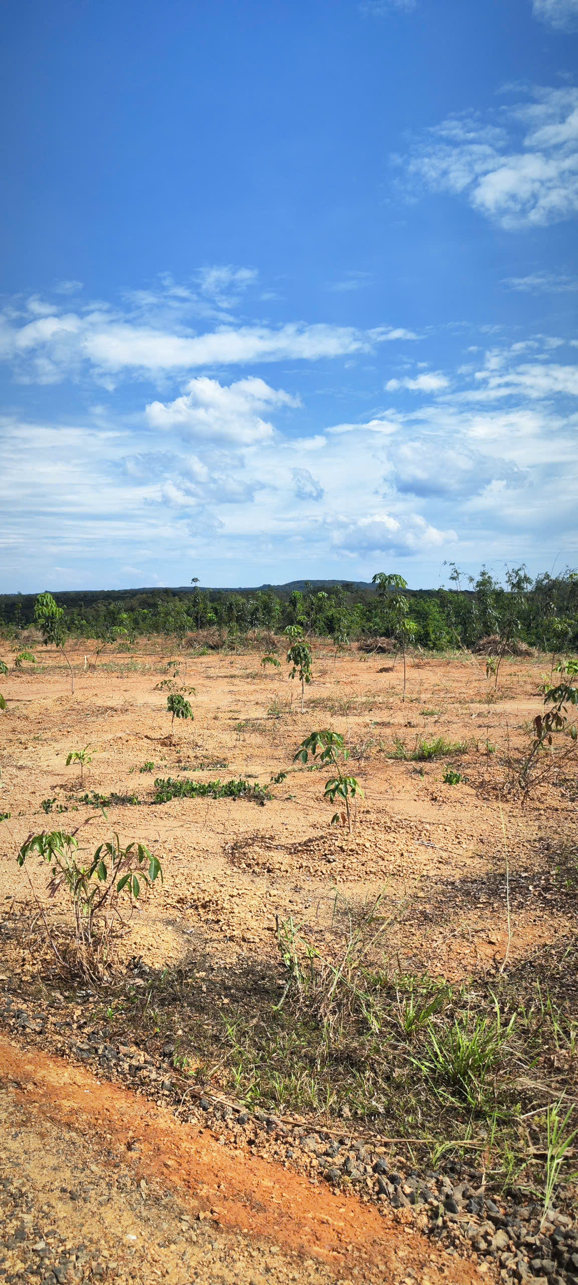 Cần Thanh Lý 1 Lô Đất 1000m2 View Đẹp Về Làm Nhà Vườn Cách TPHCM 40KM