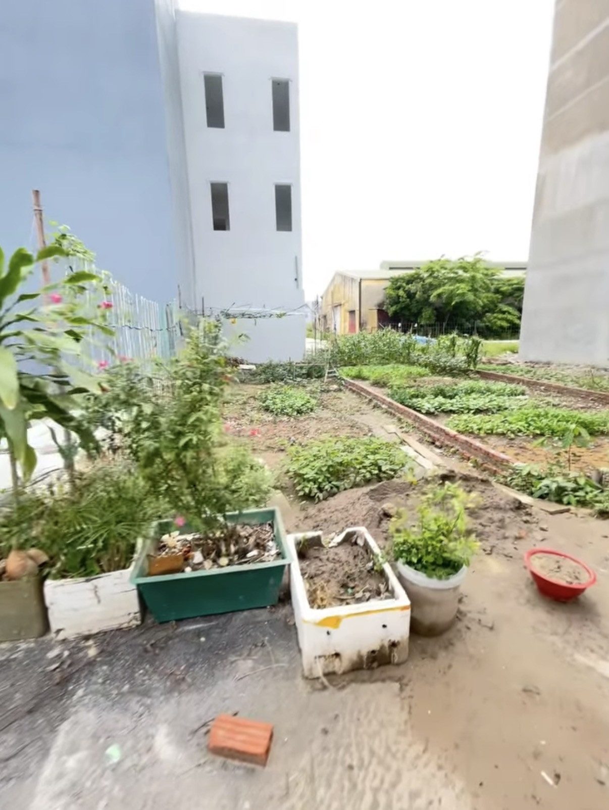 Bán đất 50,1m2 Bạch Mai An Dương Hải Phòng