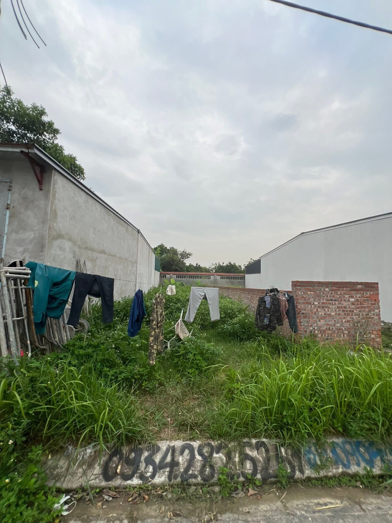 Bán đất 100m2 Bạch Mai An Hải Hải Phòng