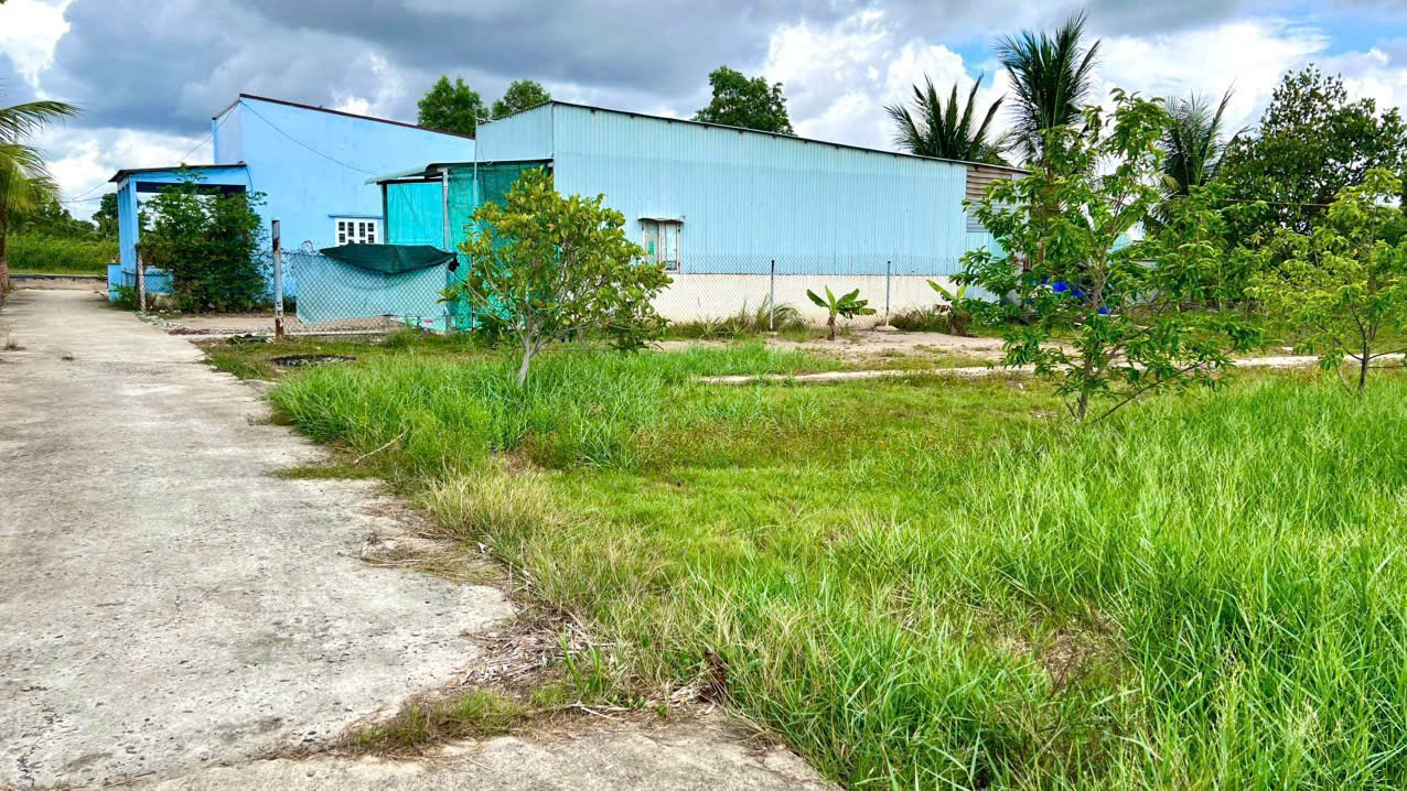 Bán đất 116m² ngang 4m giá 480 triệu tại Xã Đông Thạnh Huyện Cần Giuộc