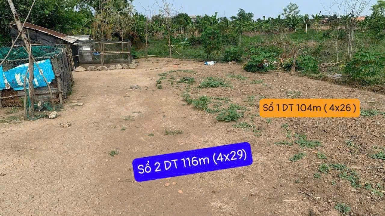 Bán đất 104m² ngang 4m giá 480 triệu tại Xã Đông Thạnh Huyện Cần Giuộc