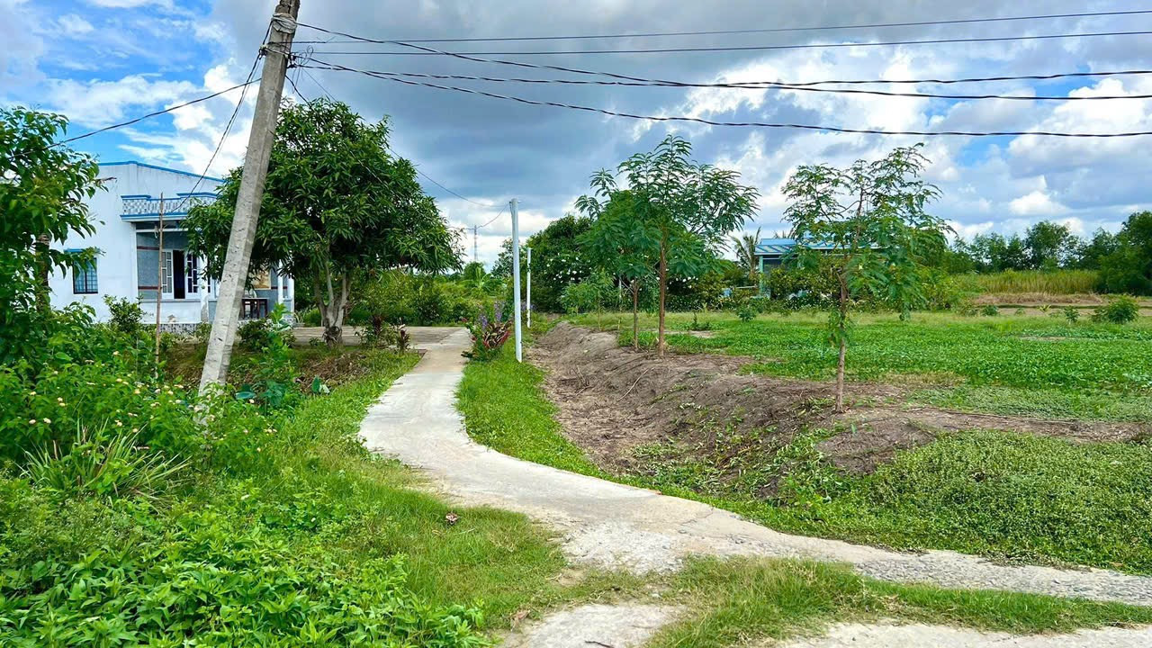Bán đất 1014.7m² ngang 20m giá 1.2 tỷ tại Xã Đông Thạnh Huyện Cần Giuộc