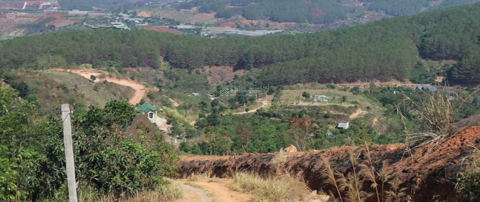 Cần bán hơn 5 sào đất tại Đông Thanh