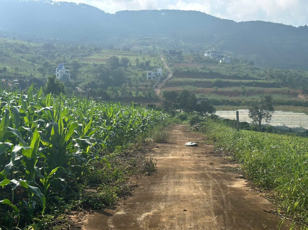 ⛰️ CHỈ 450 TR - SỞ HỮU NGAY LÔ ĐẤT VIEW ĐỒI "CỰC PHẨM" TẠI NAM BAN- VEN ĐÀ LẠT