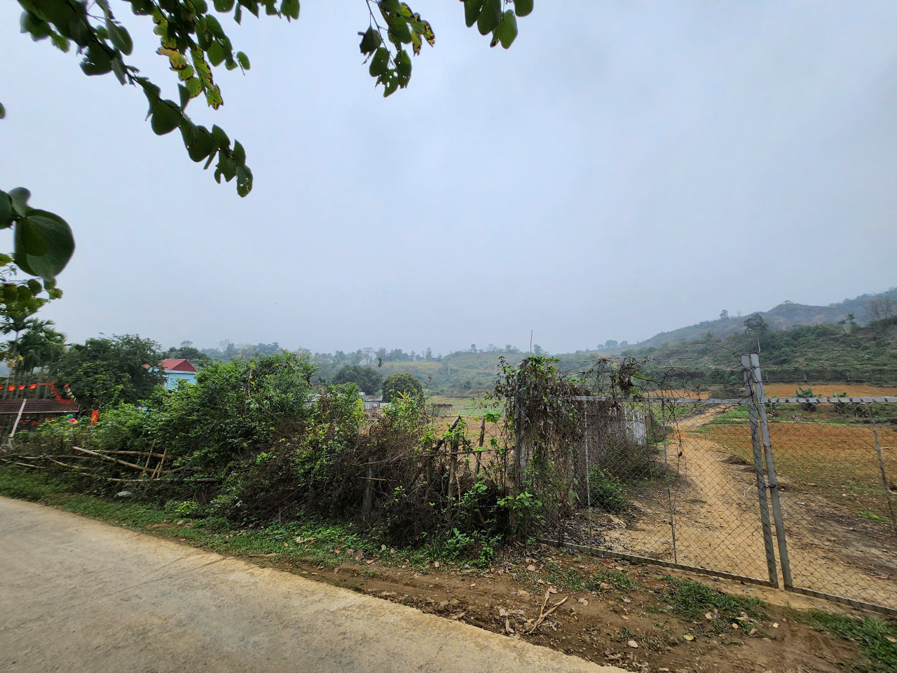 Bán đất