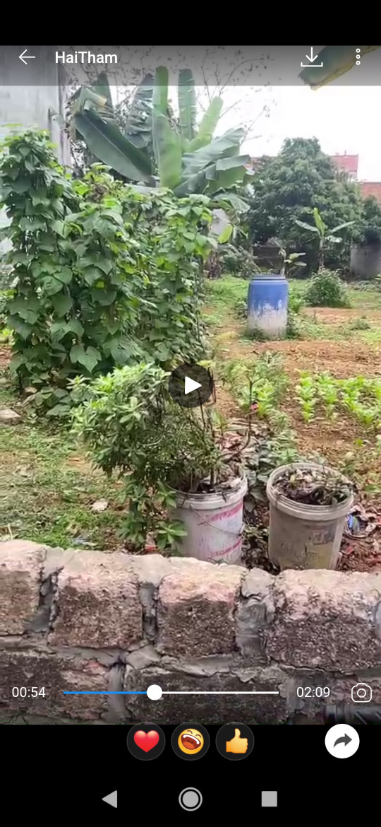 Chào bán