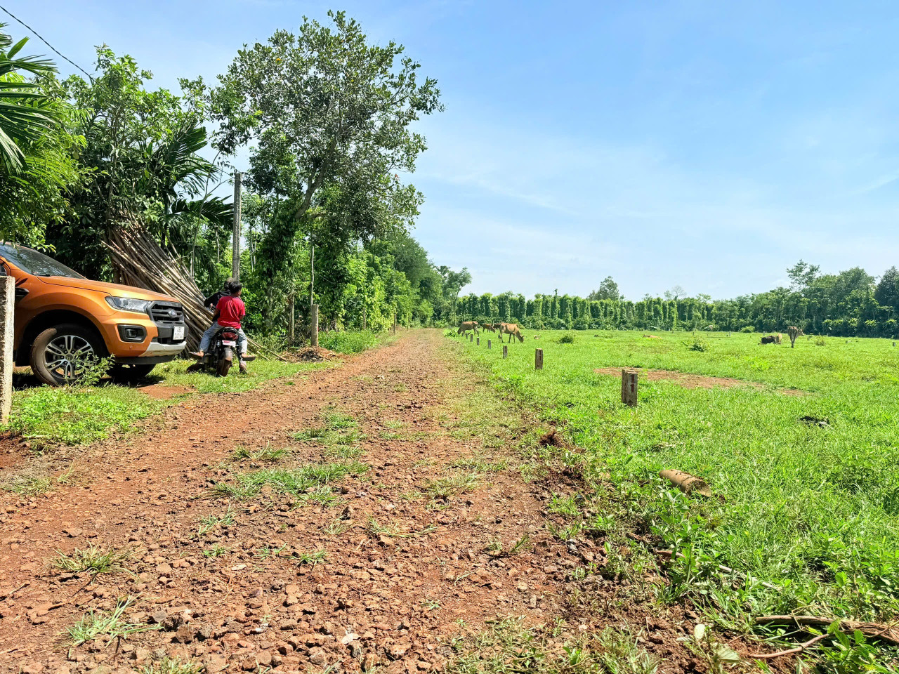 Bán đất 150m² giá 192 triệu Xã Dray Bhăng