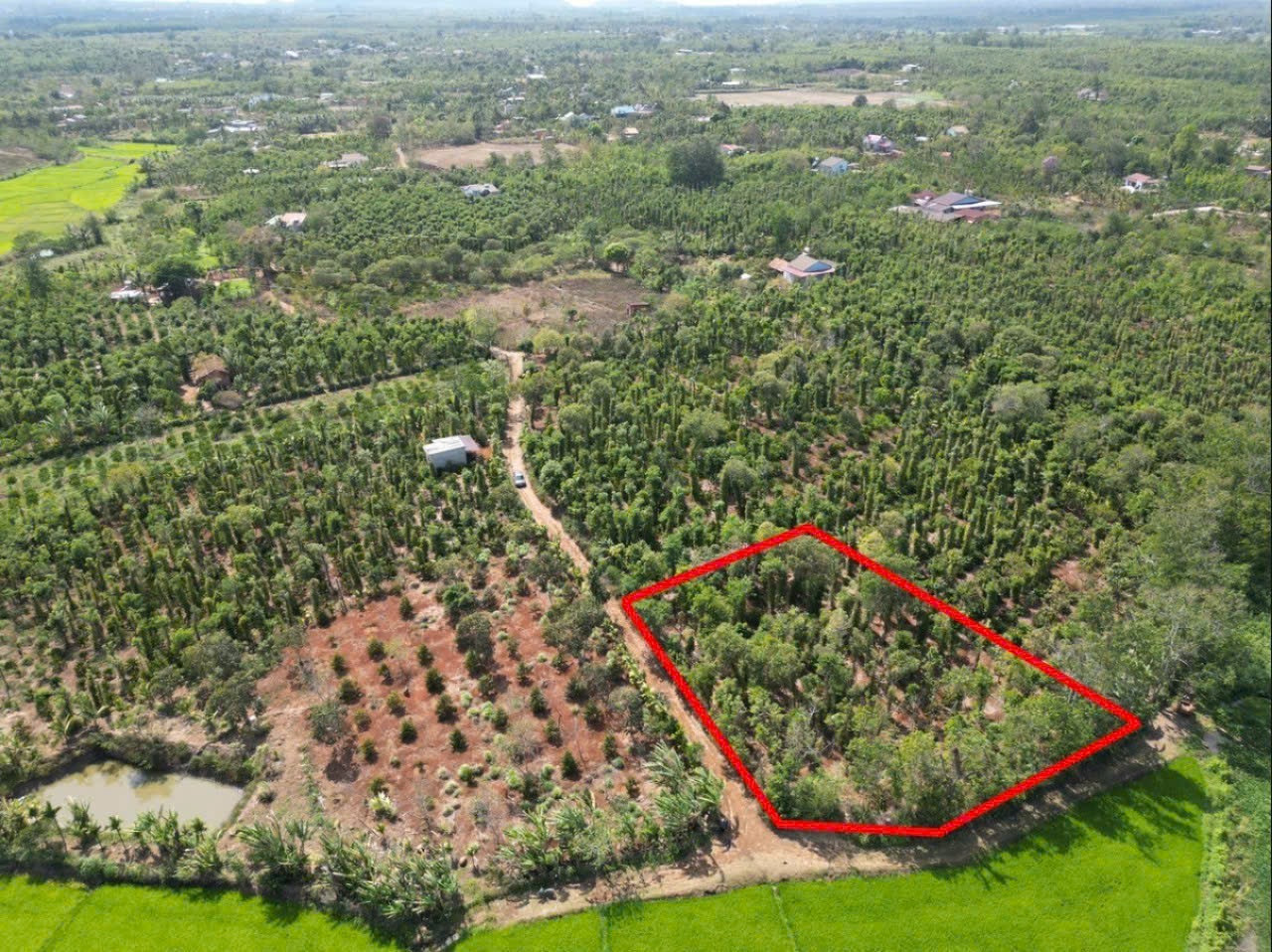 Bán đất 1756.9m² giá 540 triệu Xã Dray Bhăng