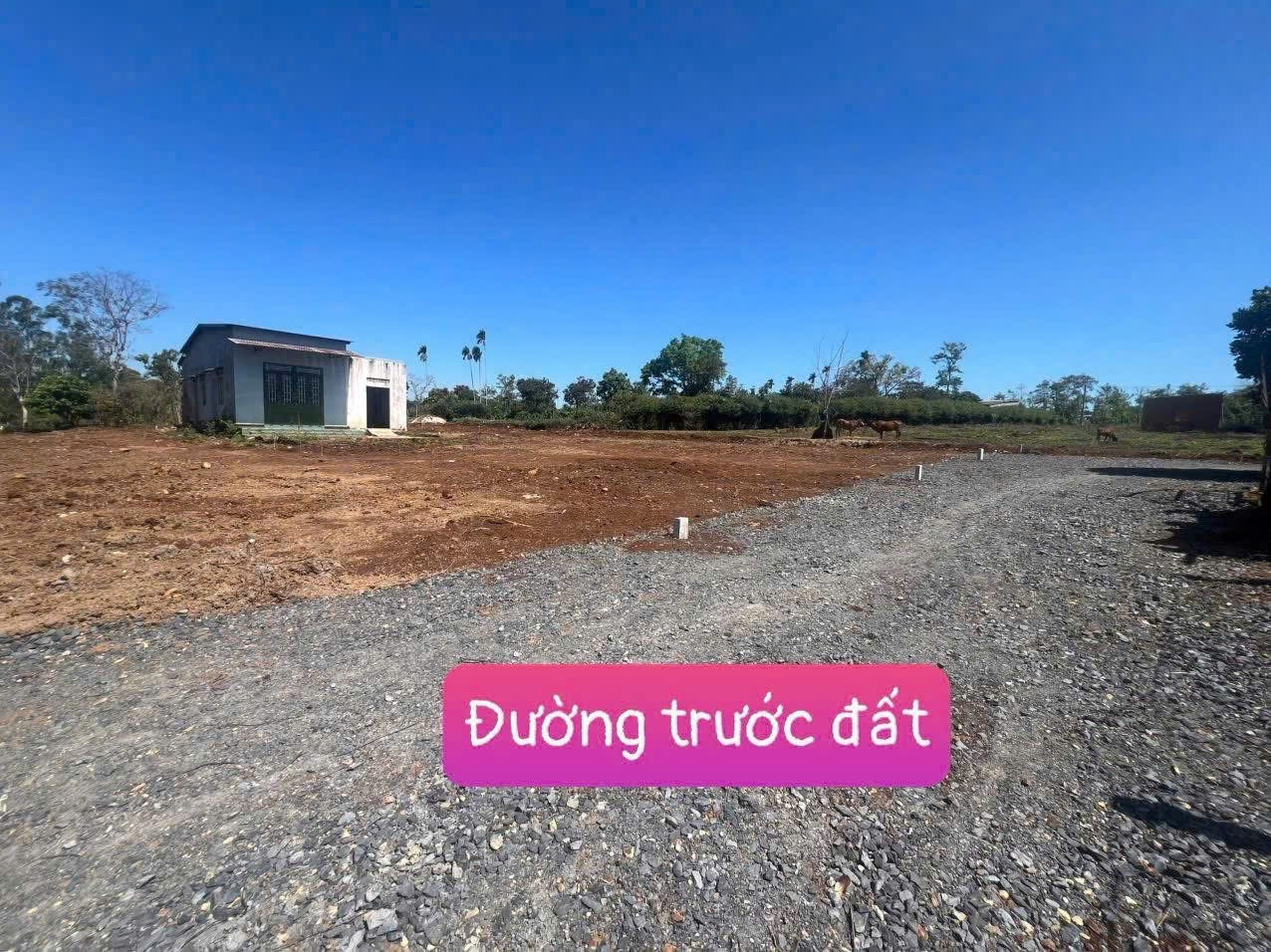 Đất thổ cư 327m² ngang 6m giá 268 triệu Xã Dray Bhăng Cư Kuin