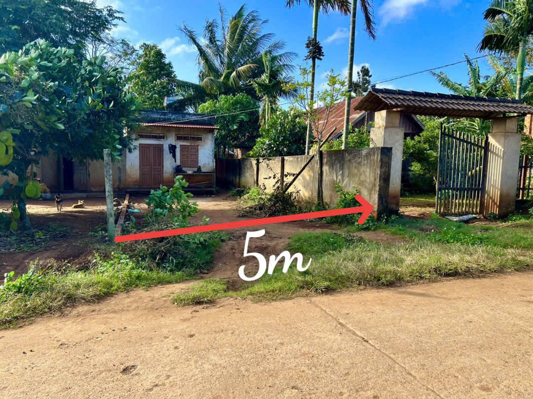 Bán đất 196m² tặng nhà cấp 4 giá chỉ 268 triệu tại Xã Dray Bhăng Huyện Cư Kuin