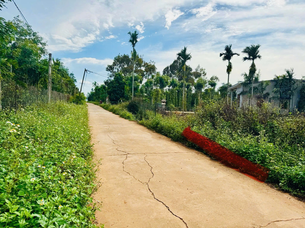 Bán đất 150m² giá 420 triệu tại Xã Dray Bhăng Huyện Cư Kuin